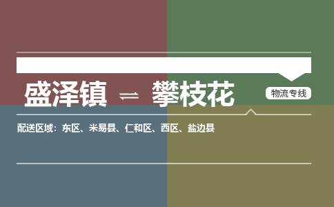 盛泽镇到攀枝花物流公司|盛泽镇至攀枝花货运专线