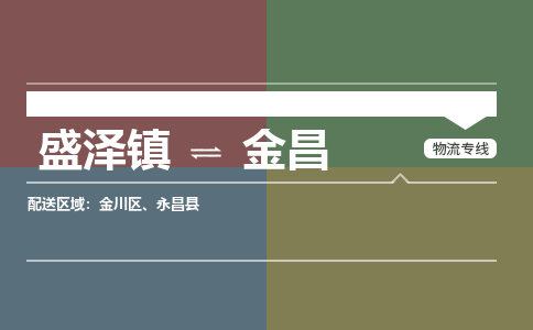 盛泽镇到金昌物流公司|盛泽镇至金昌货运专线