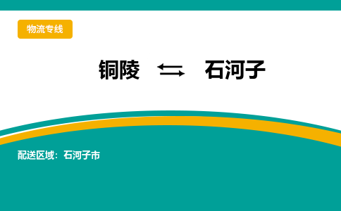 铜陵到石河子物流公司-助您一骑绝尘-铜陵至石河子货运专线